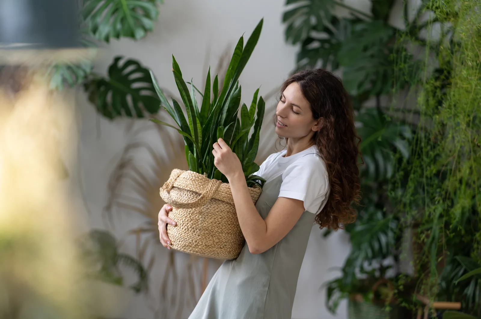 a woman holding a Snake Plant pot