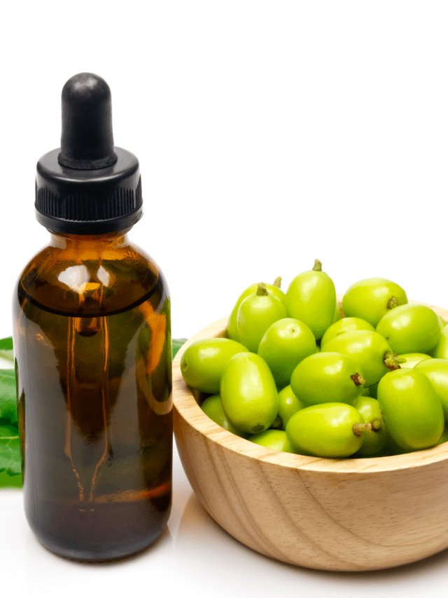 Neem oil burning leaves? Let’s find out why and how to solve the issue