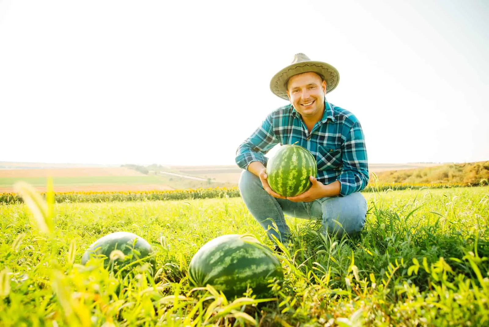 farmer holds a watermelon in his hand