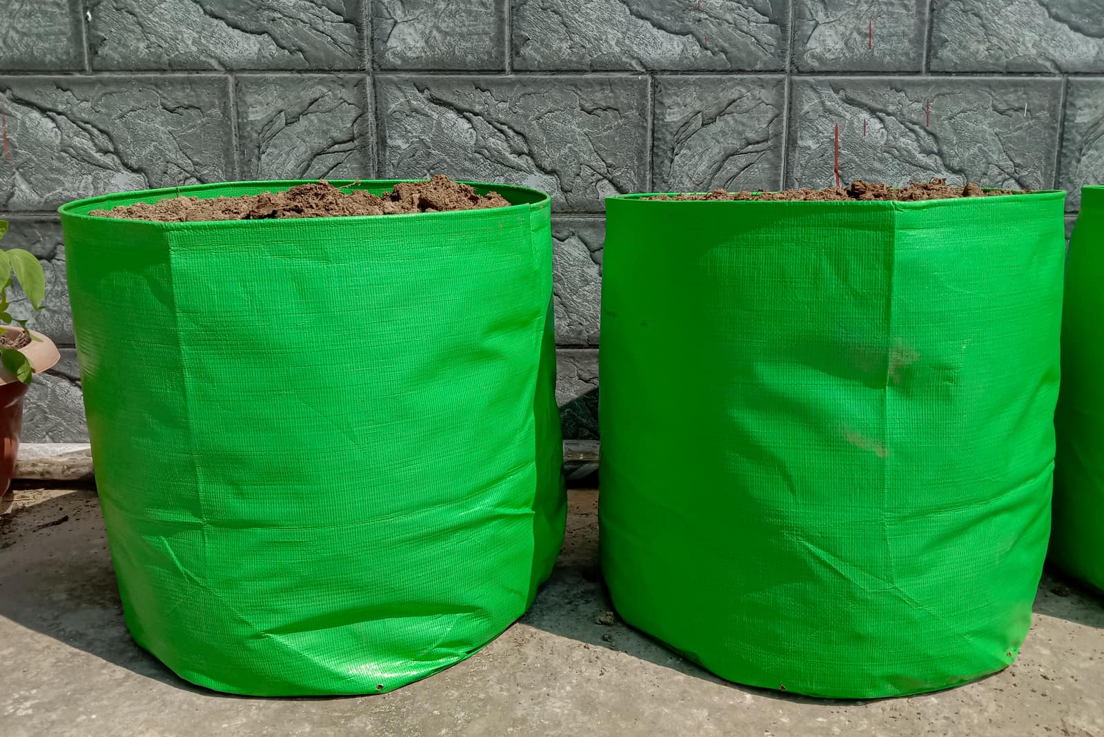 green grow bags