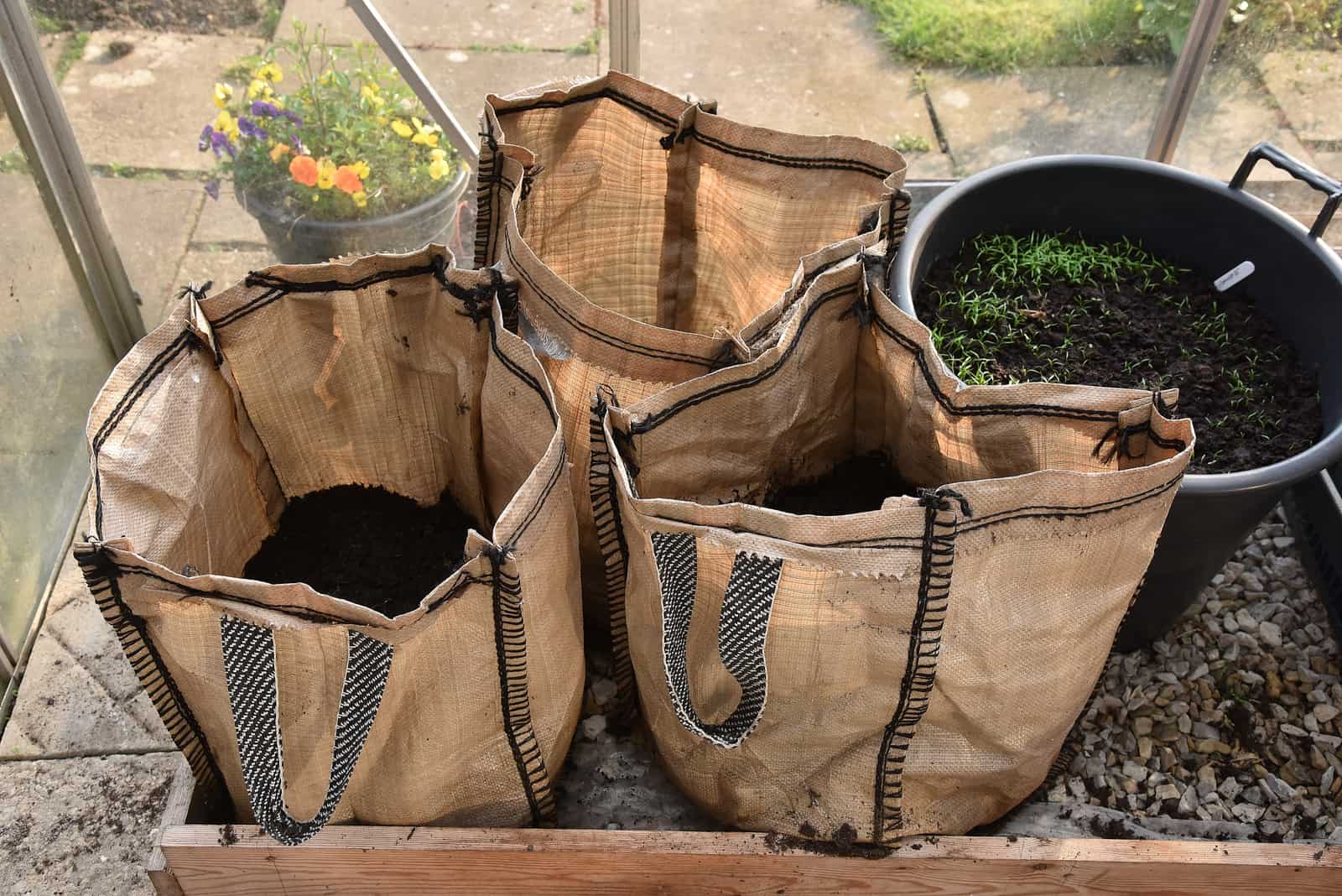 grow bags