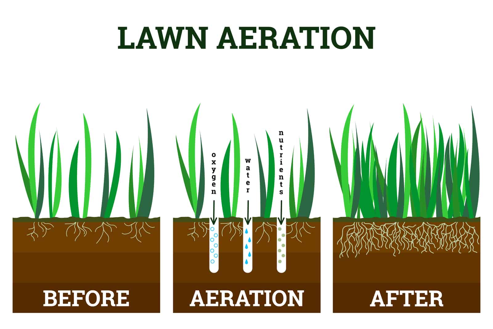 illustration of stages lawn aeration