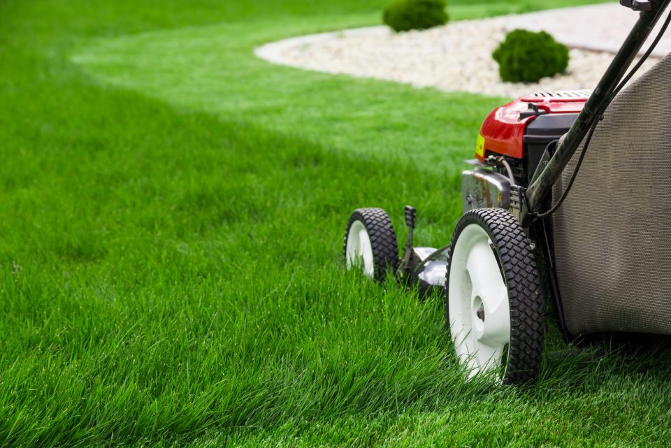 What To Do After Aerating Lawn 7 Useful Tips And Tricks