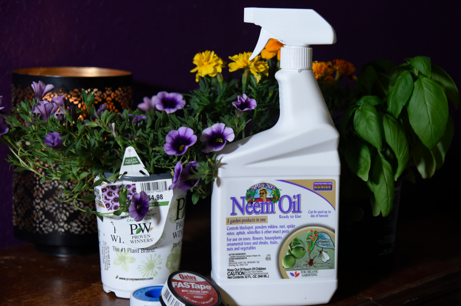 Copper Fungicide Vs Neem Oil What’s The Better Option?