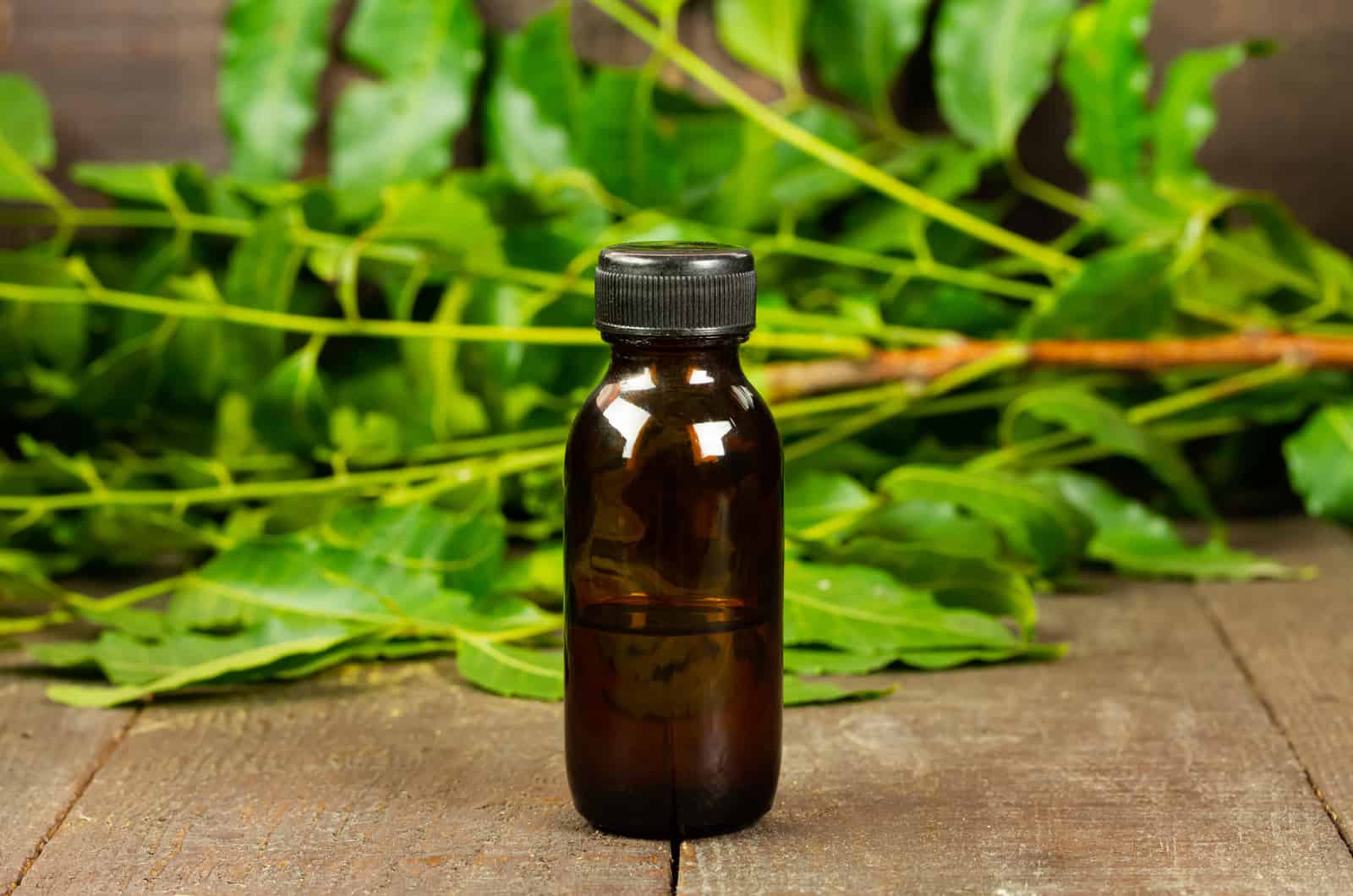 neem oil in little bottle