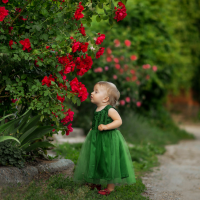 the little girl walks in the park and smells the roses