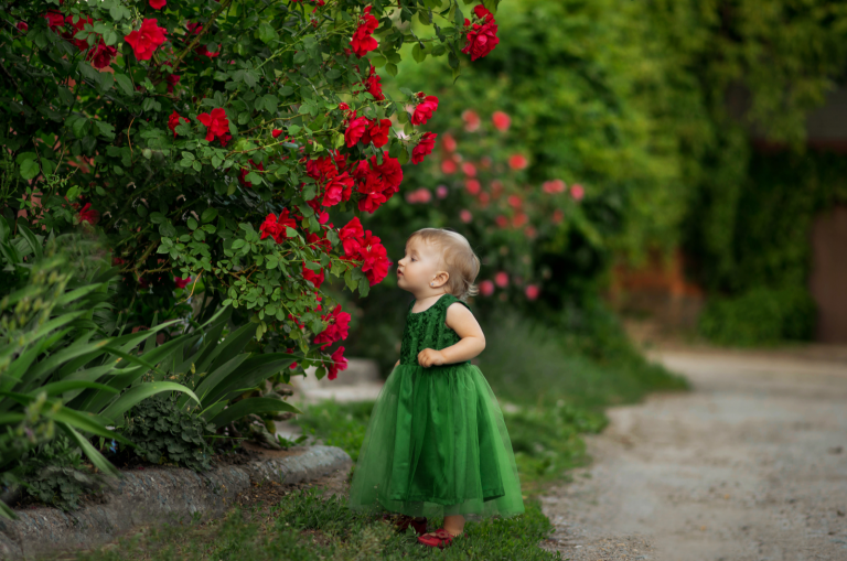 the little girl walks in the park and smells the roses