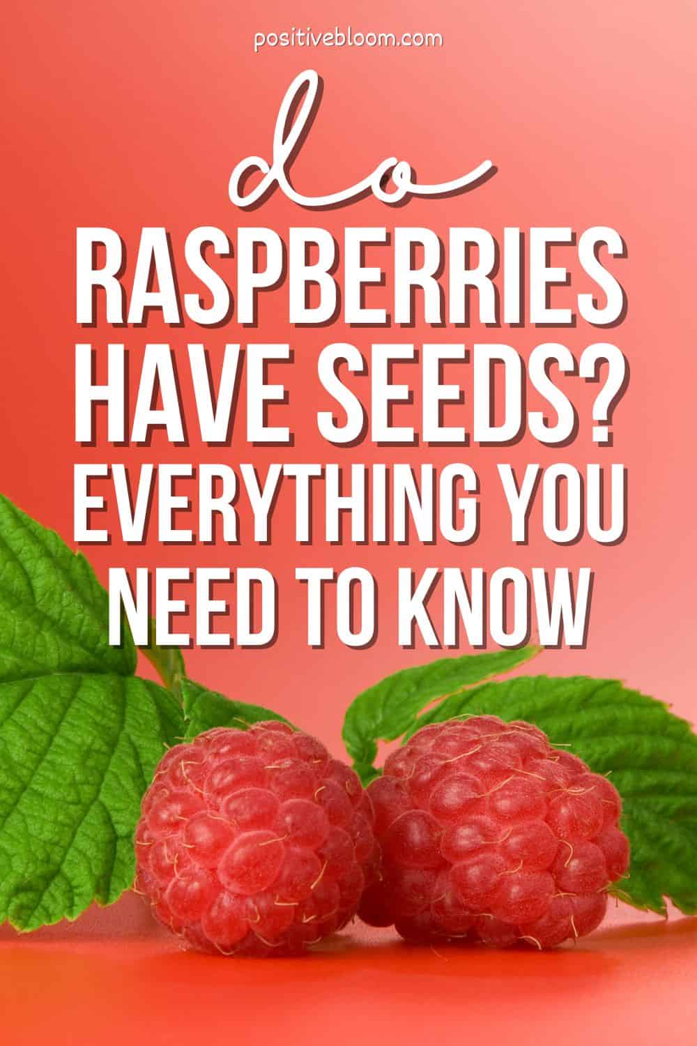 Do Raspberries Have Seeds Everything You Need To Know Pinterest