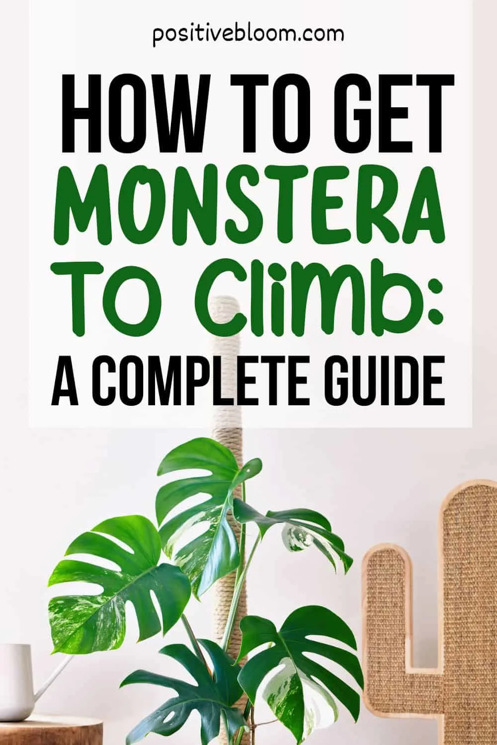 How To Get Monstera To Climb A Complete Guide Pinterest