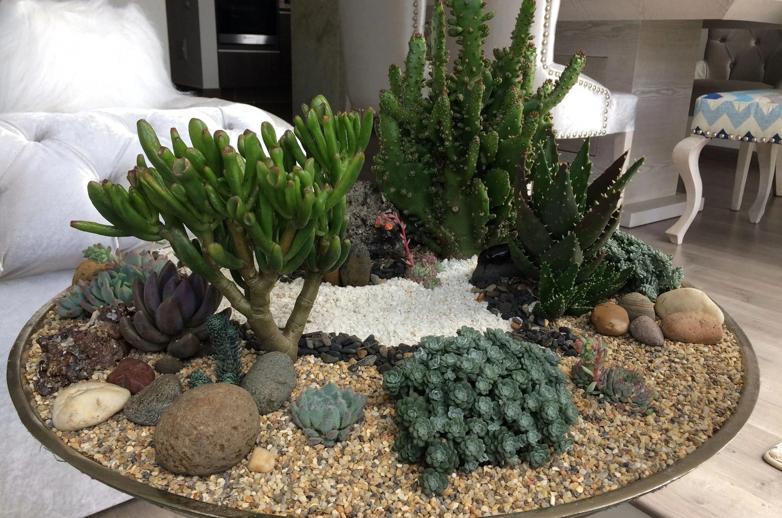 Pebble in pot with lot of plants