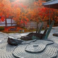 japanese zen garden on a budget