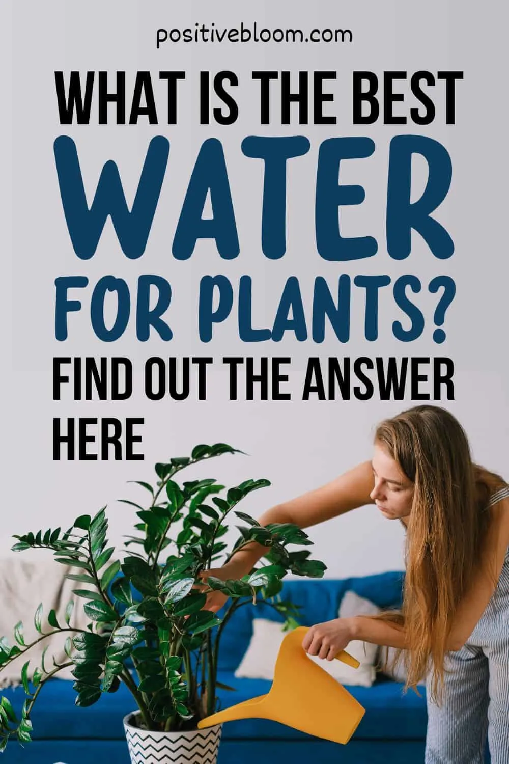 What Is The Best Water For Plants Find Out The Answer Here! Pinterest