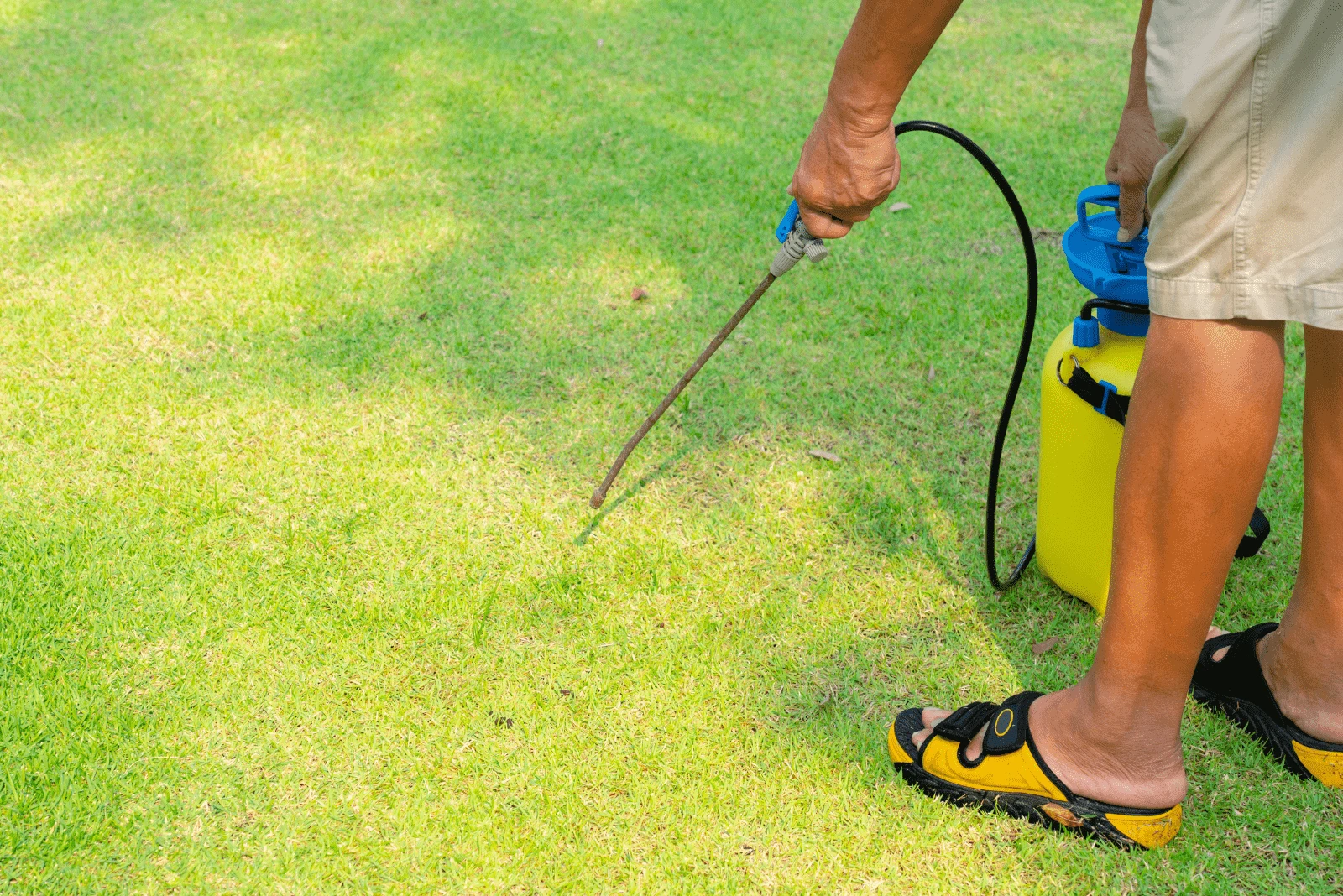 a person sprays weeds in the grass with herbicide