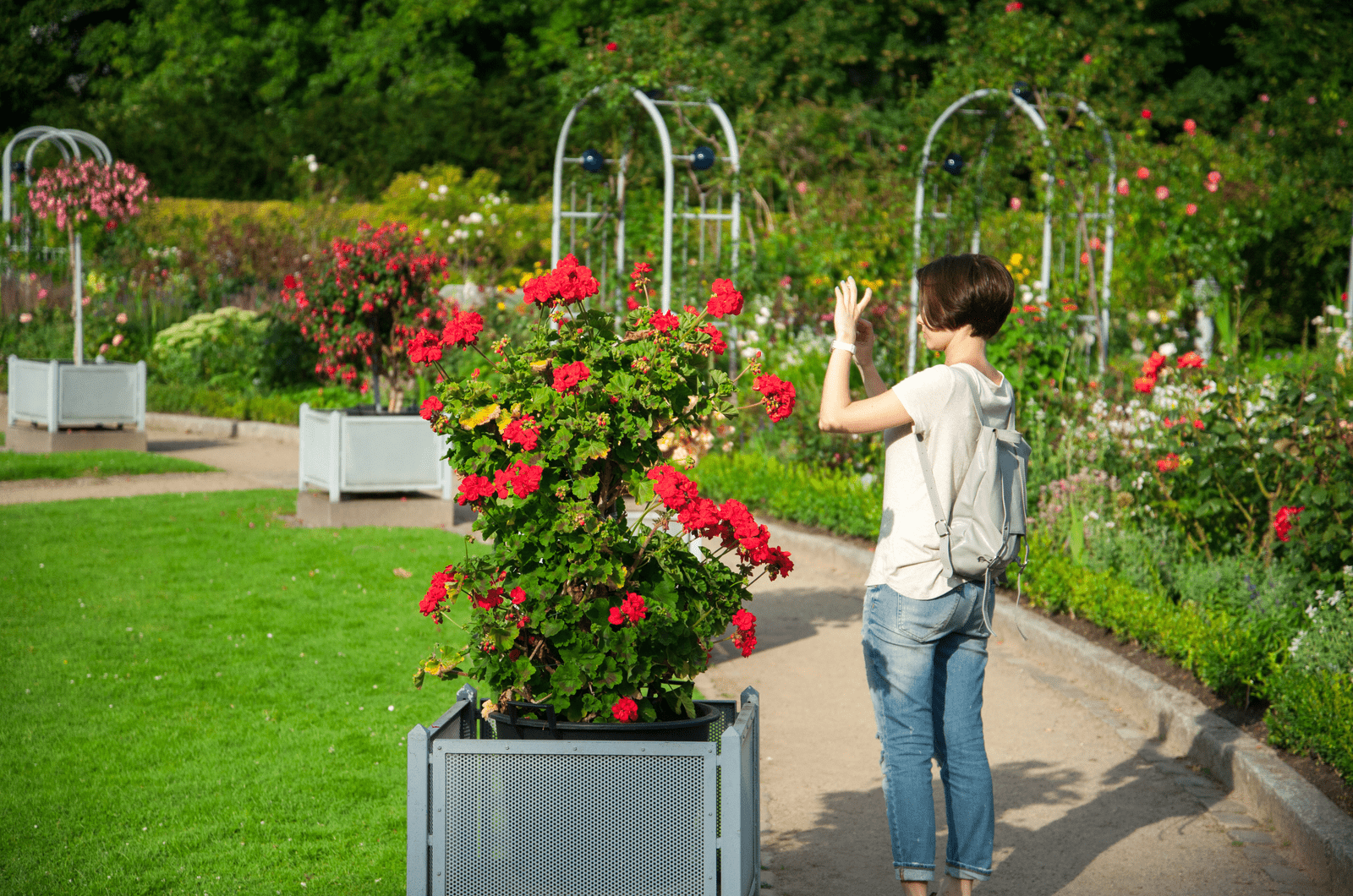 a woman stands in the park and paints red roses