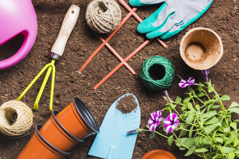 Step By Step Guide To Repotting String Of Hearts