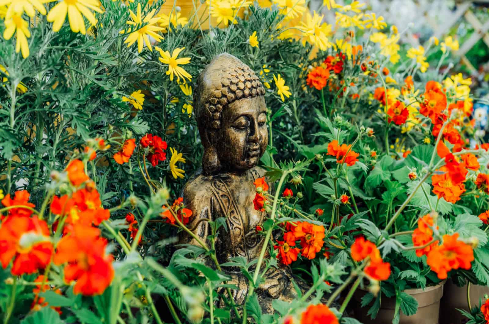 buddha statue in garden
