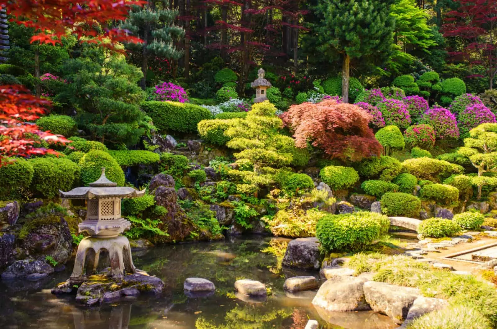 japanese garden with a pond