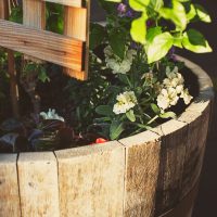 Garden Bed liner in garden