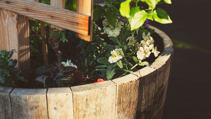 10 Awesome Non-Toxic Garden Bed Liner Options In 2022