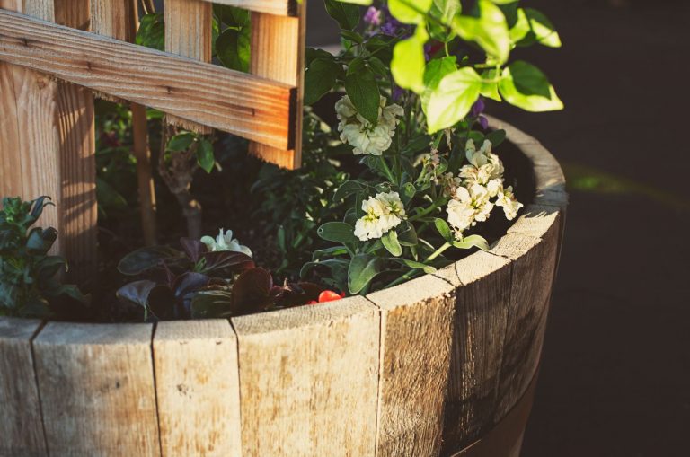 Garden Bed liner in garden