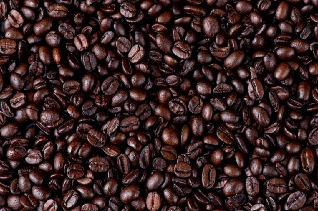 Are Coffee Grounds Good For Roses? Discover the Surprising Benefits