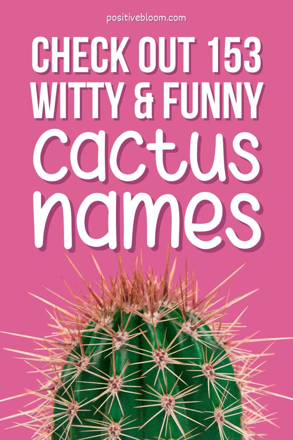 Check Out 153 Witty And Funny Cactus Names! Pinterest