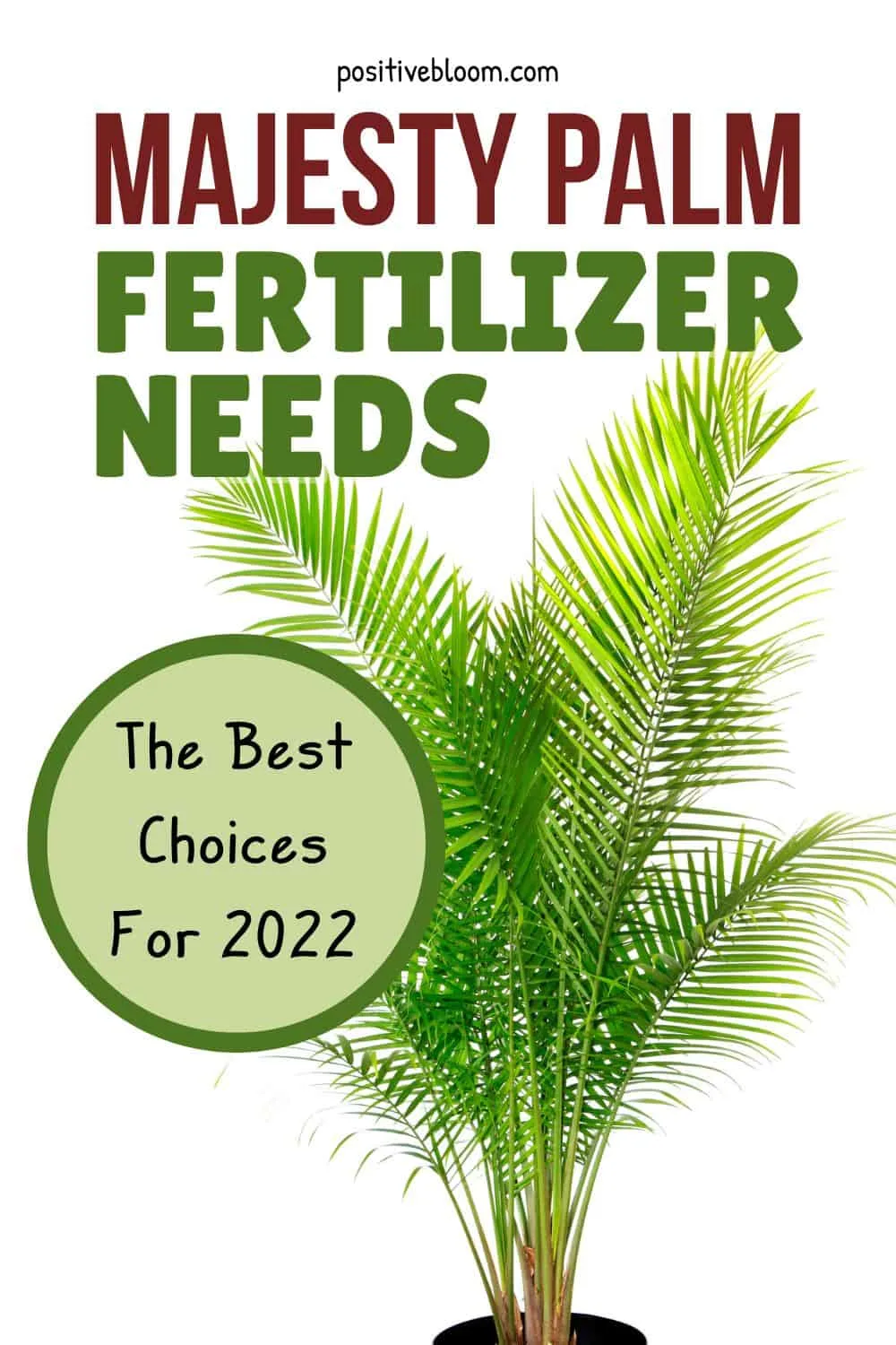 Majesty Palm Fertilizer Needs And The Best Choices For 2022 Pinterest