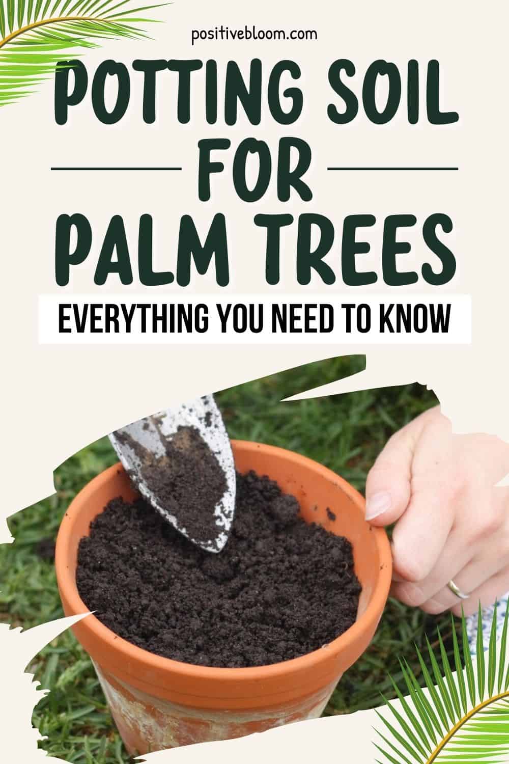 Potting Soil For Palm Trees Everything You Need To Know Pinterest