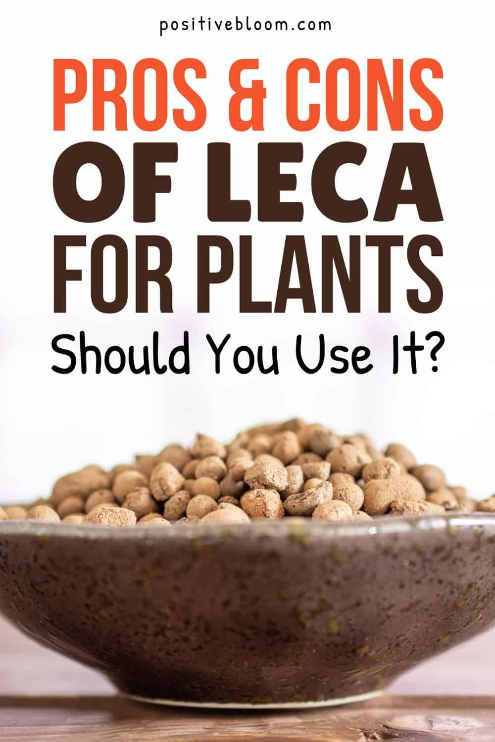 Pros & Cons Of LECA For Plants Should You Use It Pinterest