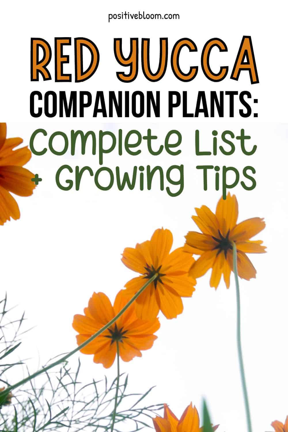 Red Yucca Companion Plants Complete List + Growing Tips Pinterest