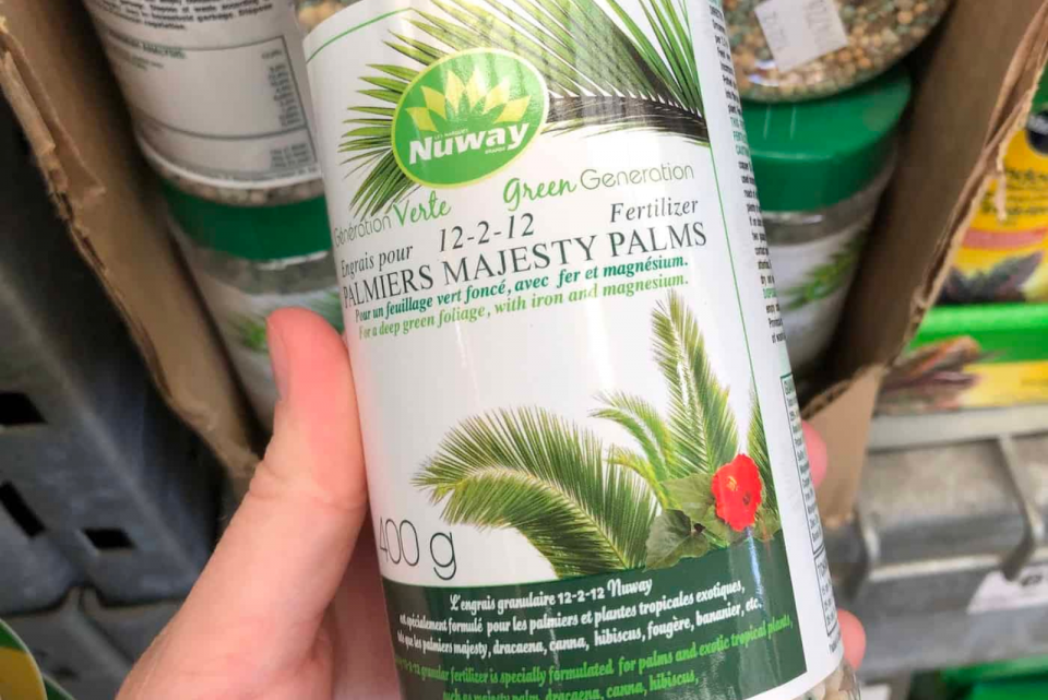 Majesty Palm Fertilizer Needs And The Best Choices For 2024
