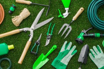 A List Of Houseplant Tools Every Gardener Needs