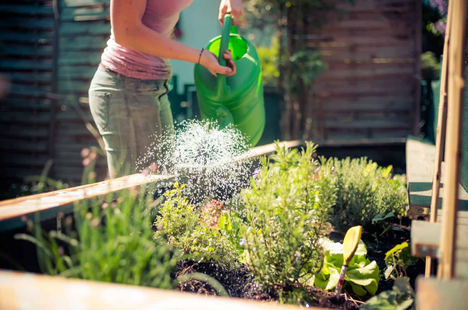 woman watering plants in Garden Bed liner