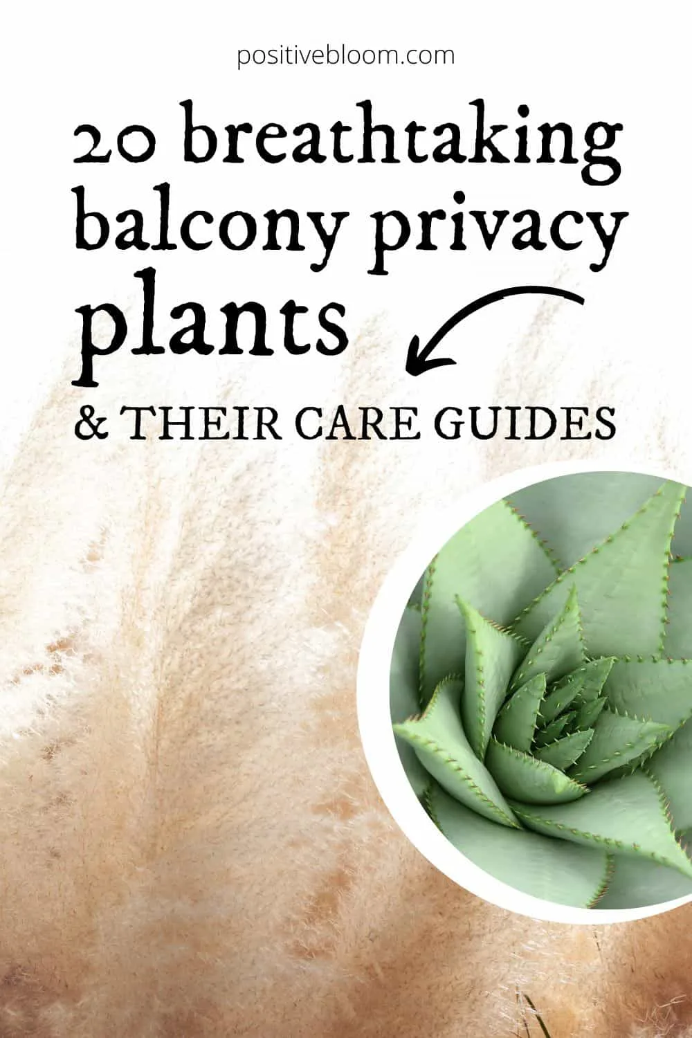20 Breathtaking Balcony Privacy Plants And Their Care Guides Pinterest