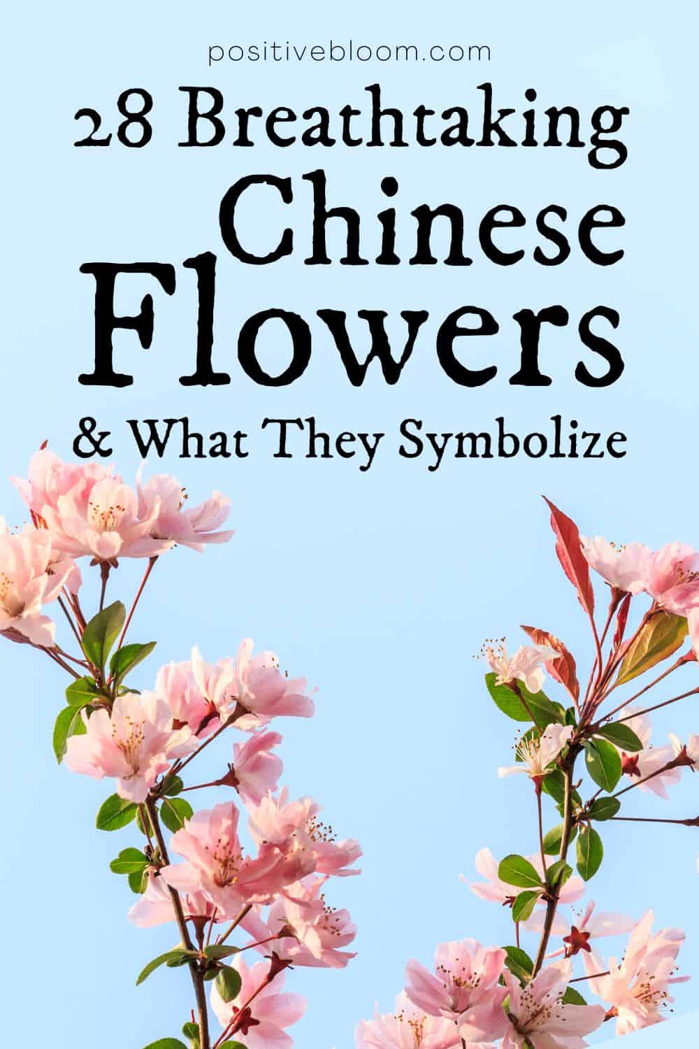 28 Breathtaking Chinese Flowers And What They Symbolize Pinterest