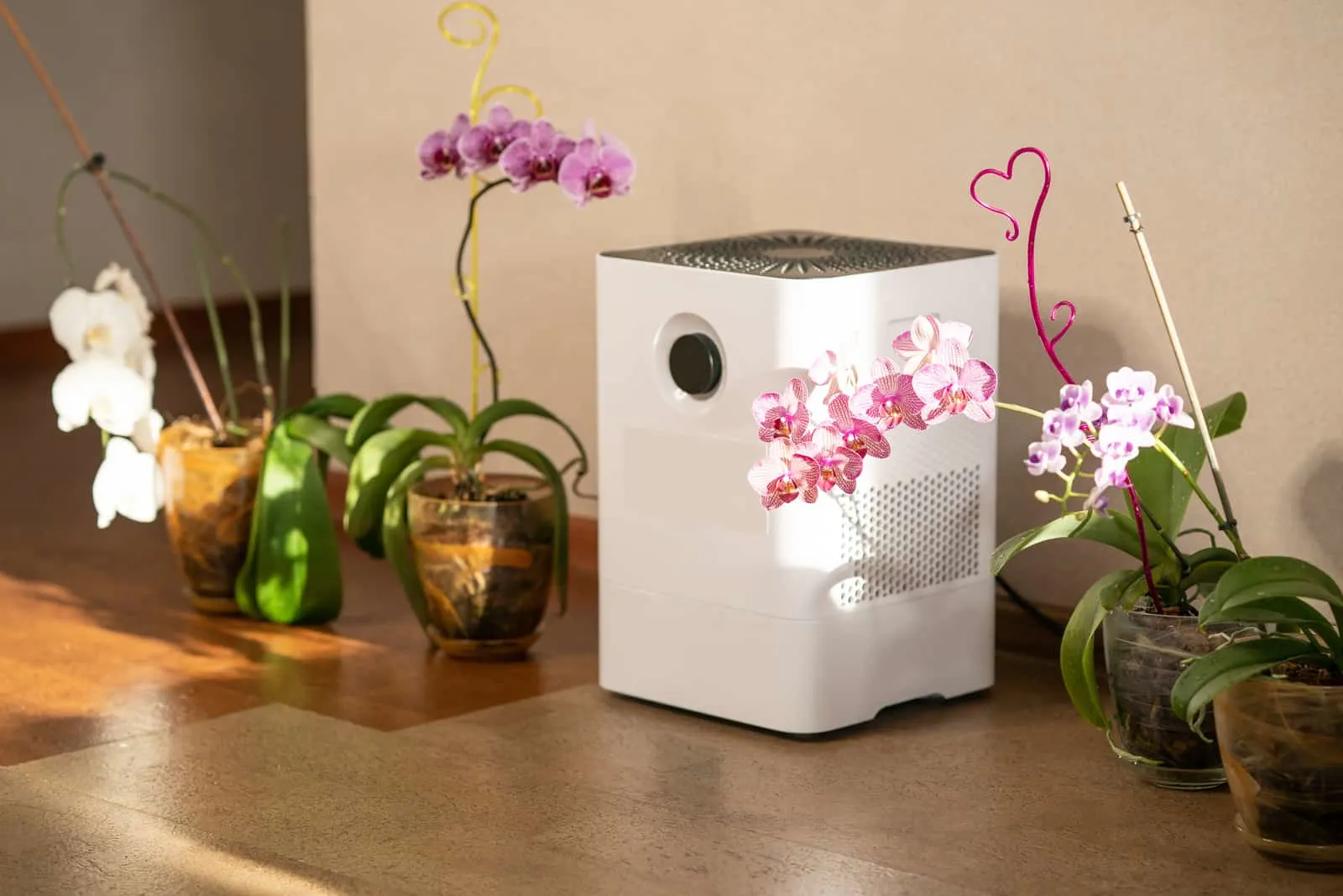 Air humidifier near the orchid flowers at home
