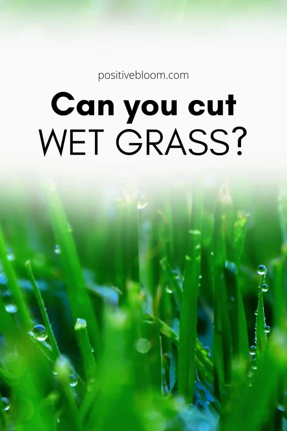 Can u discount cut wet grass