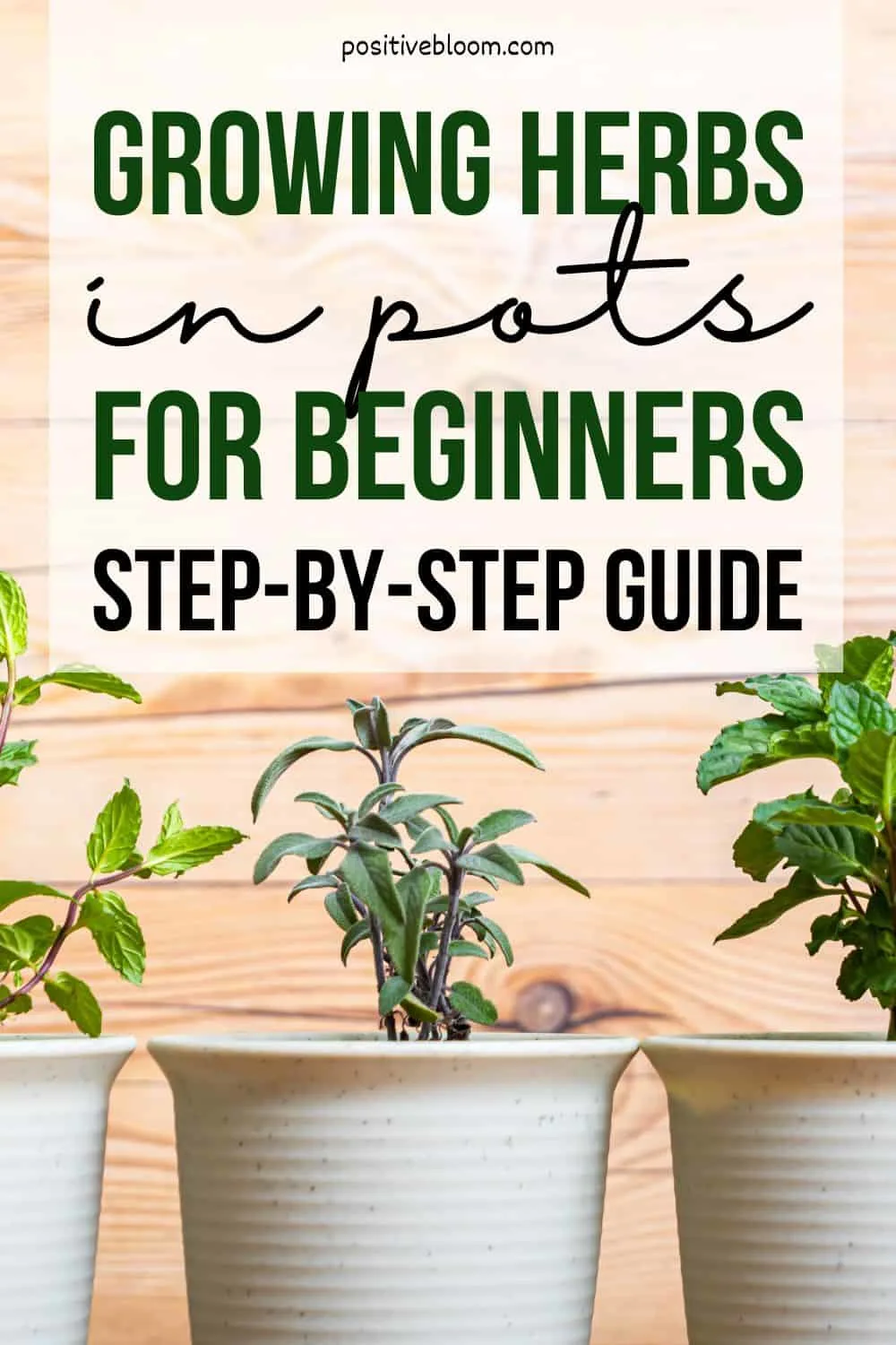 Growing Herbs In Pots For Beginners Step-by-step Guide Pinterest