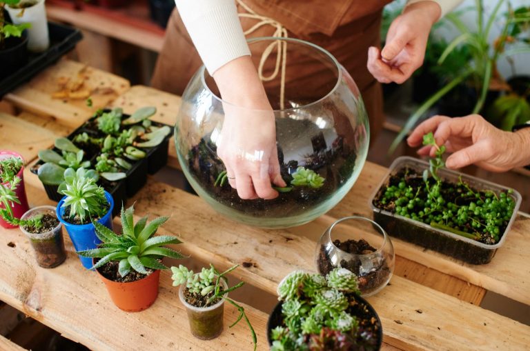 woman making Succulent Terrarium