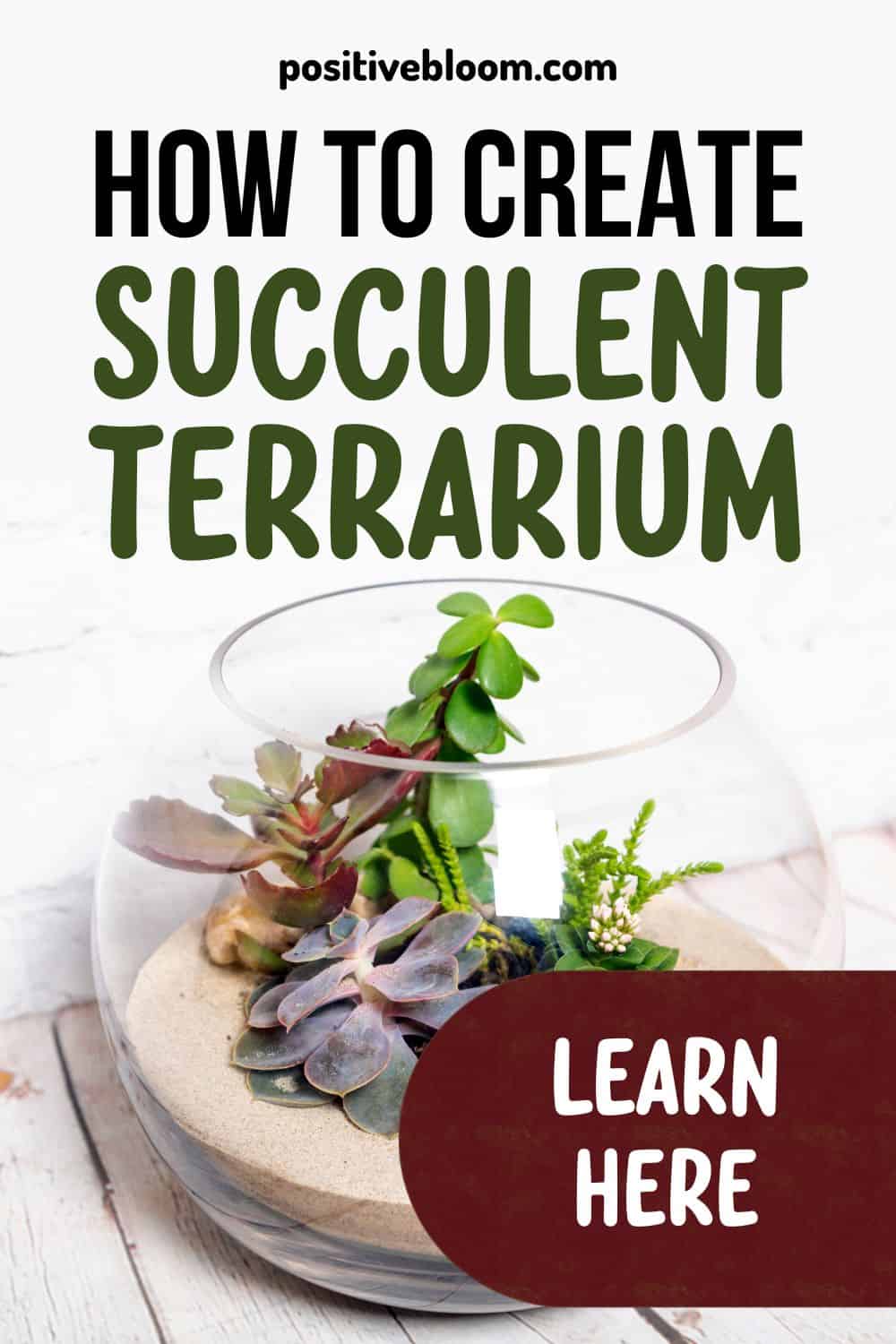 How To Create A Succulent Terrarium Step-by-step Guide Pinterest