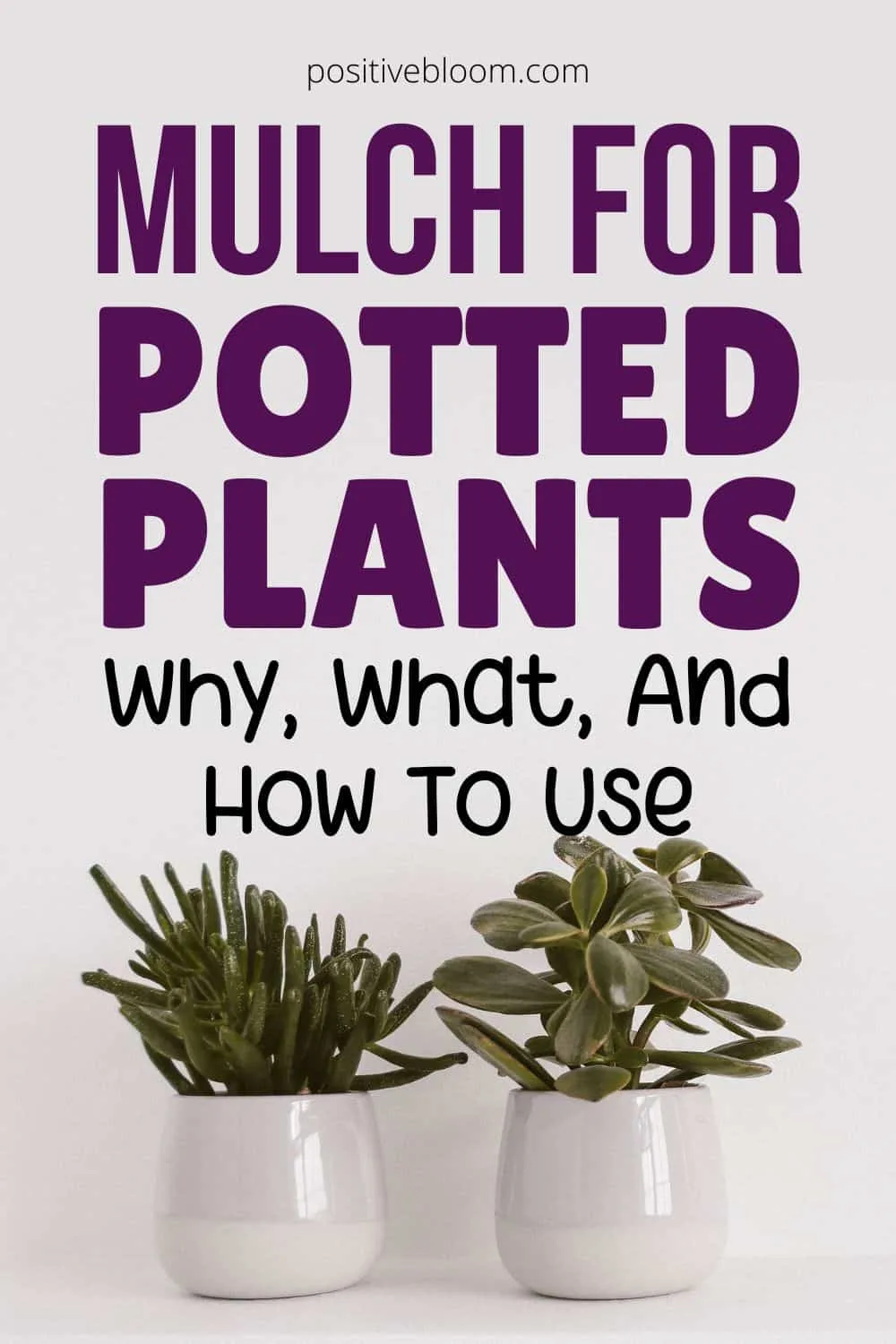 Mulch For Potted Plants Why, What, And How To Use Pinterest