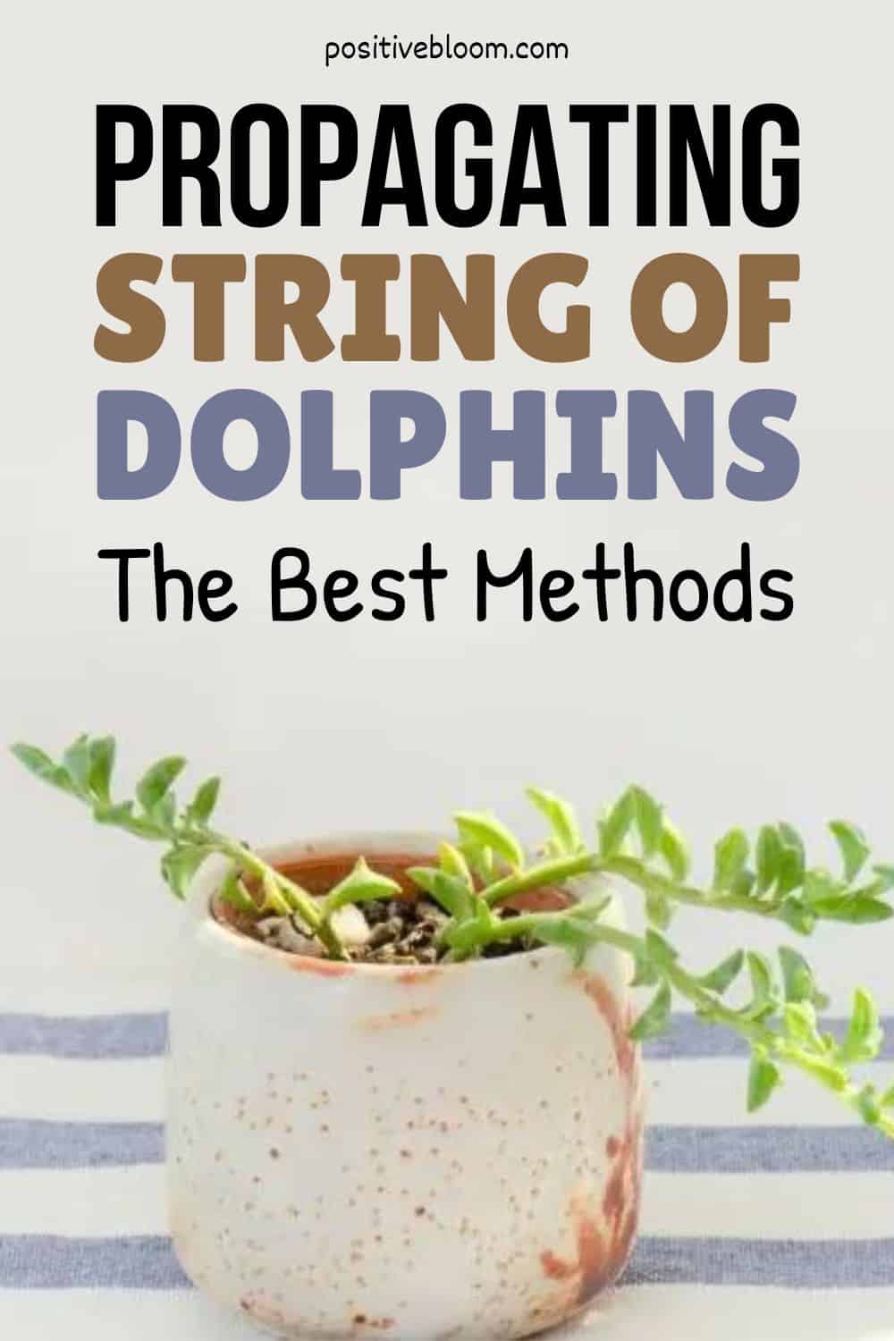 Propagating String Of Dolphins The Best Methods Pinterest