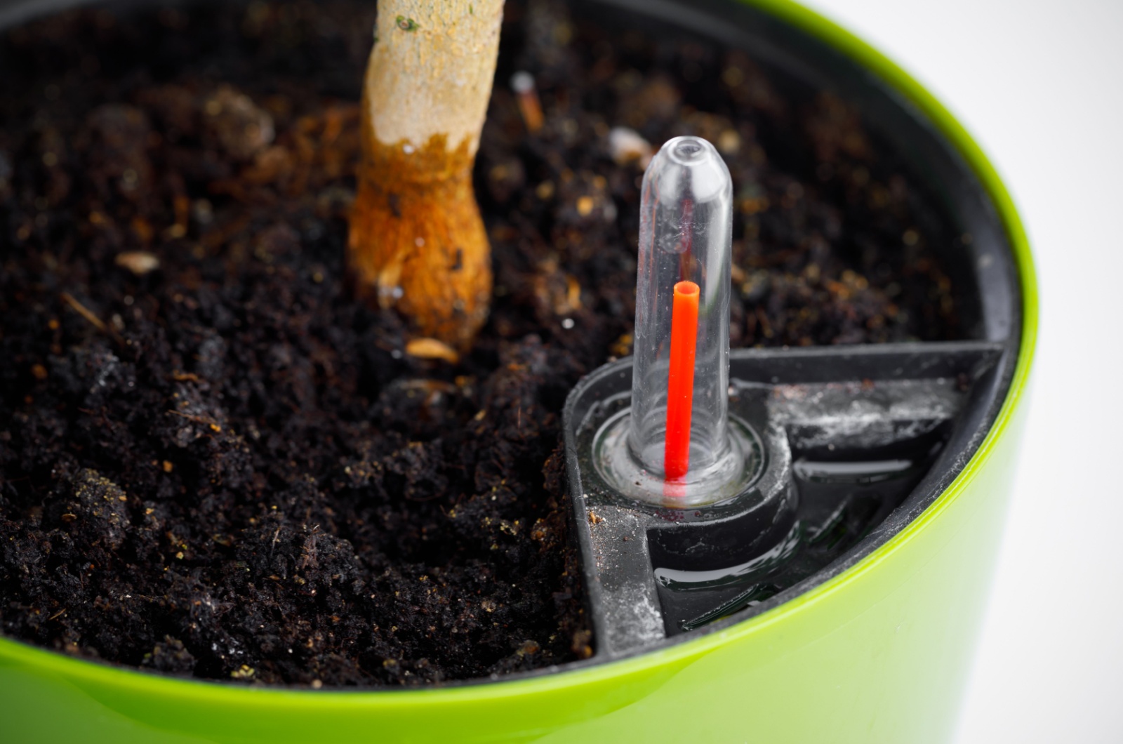 Self-watering Planters