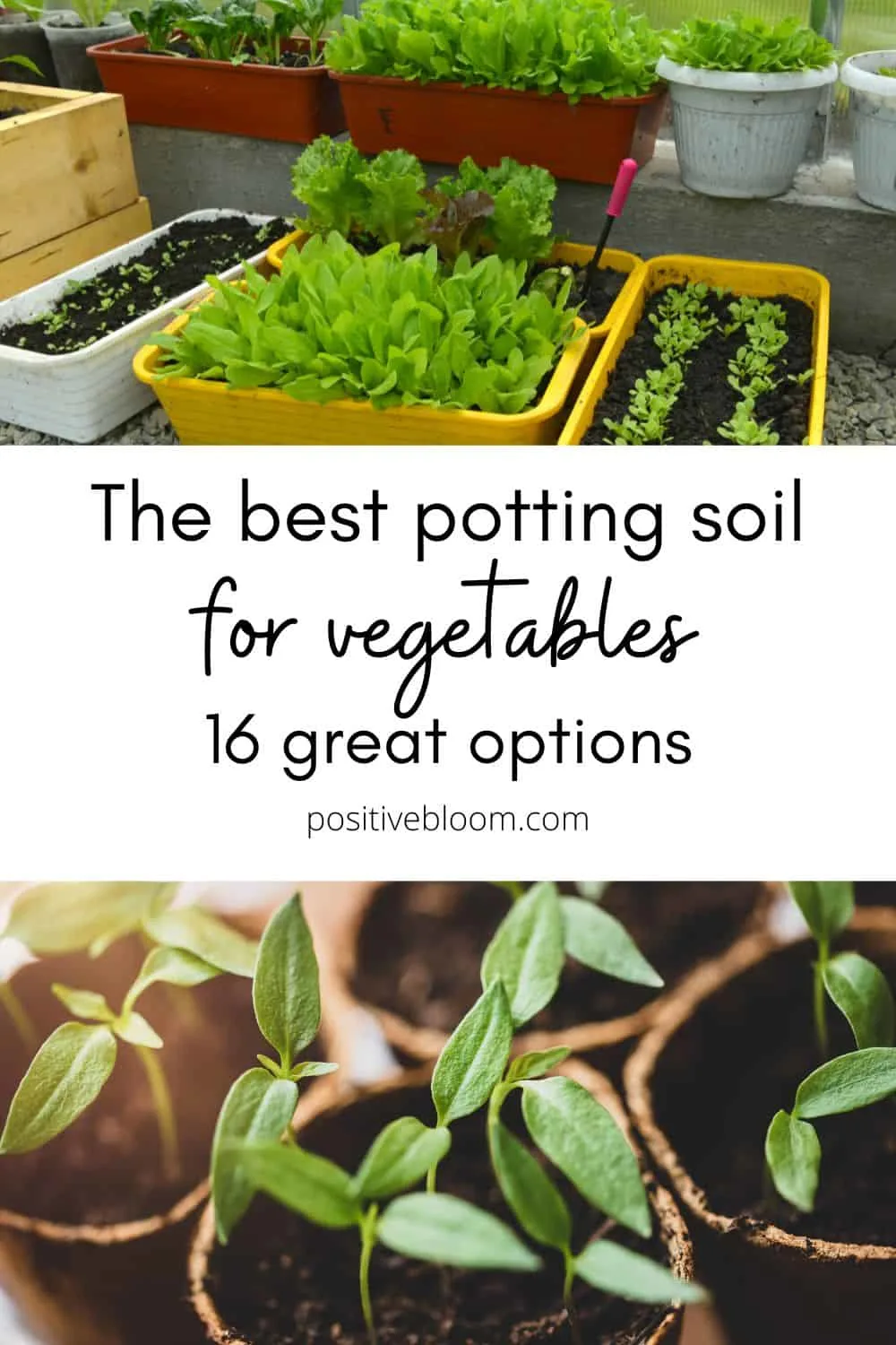 The Best Potting Soil For Vegetables 16 Great Options Pinterest