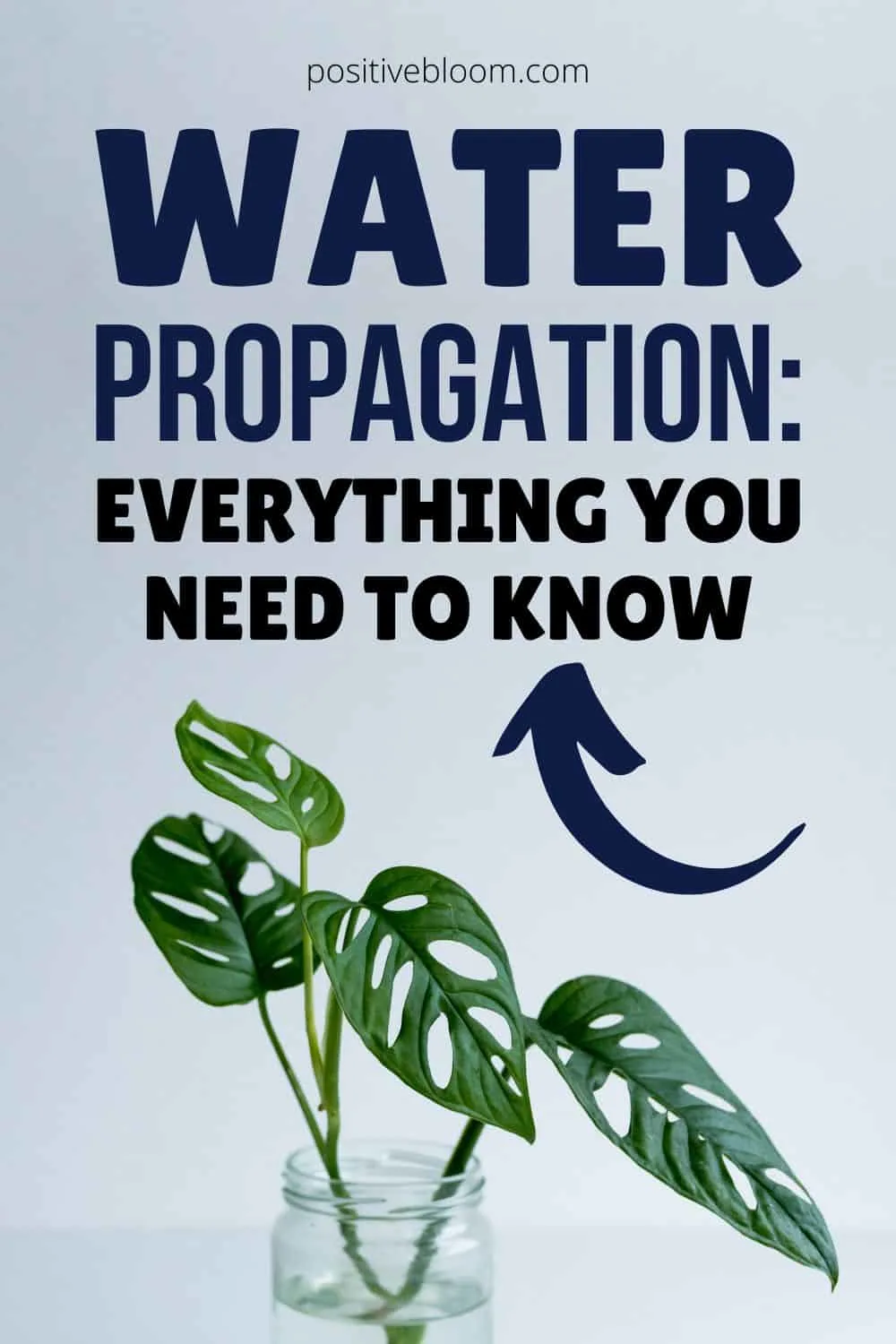 Water Propagation Everything You Need To Know Pinterest