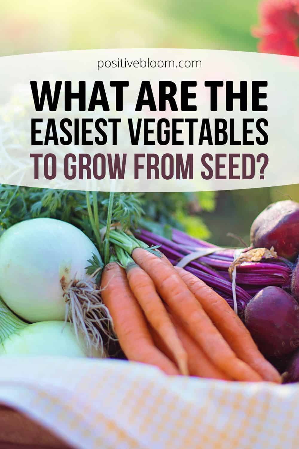 What Are The Easiest Vegetables To Grow From Seed Pinterest