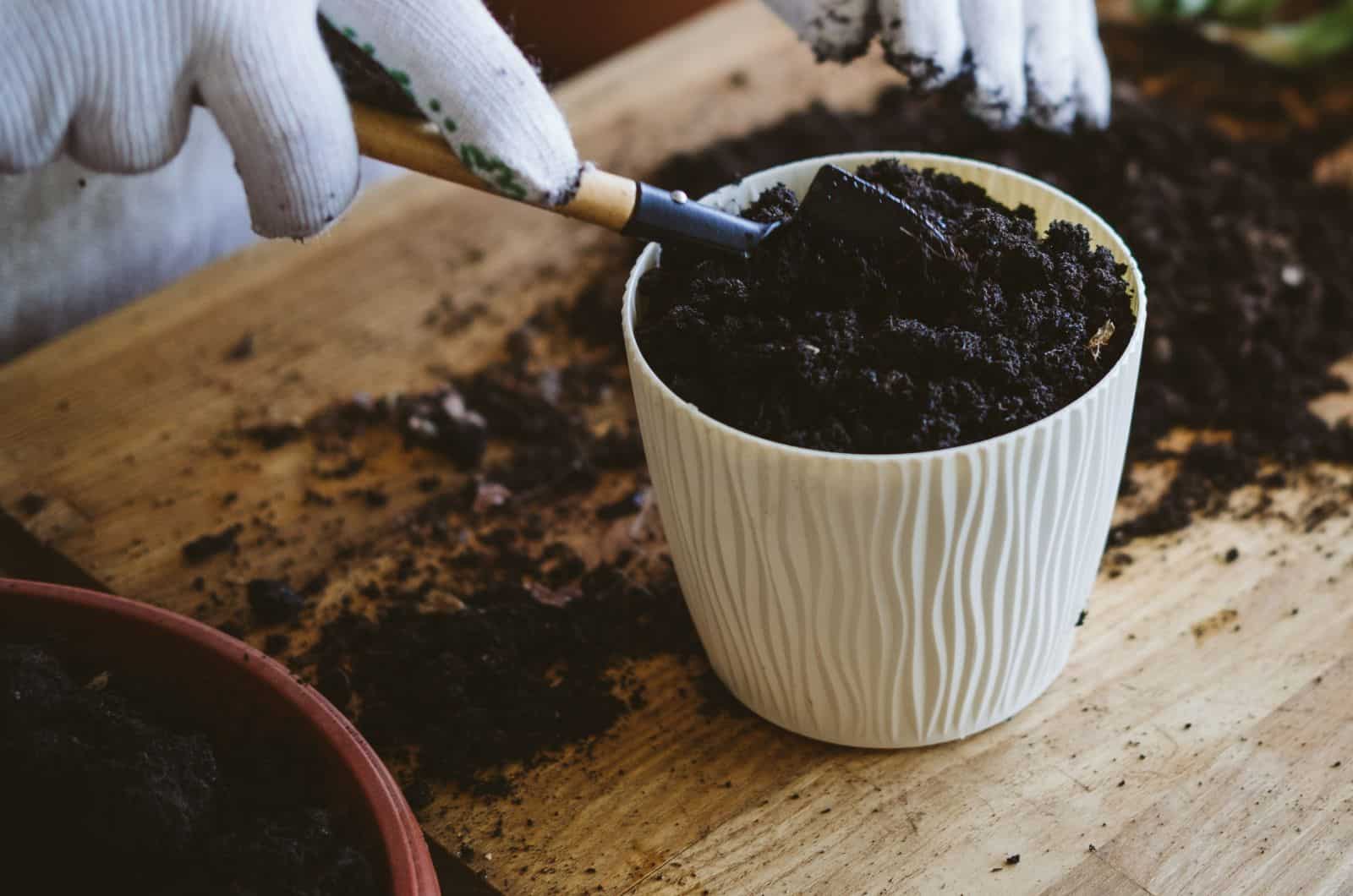 filling pot with soil