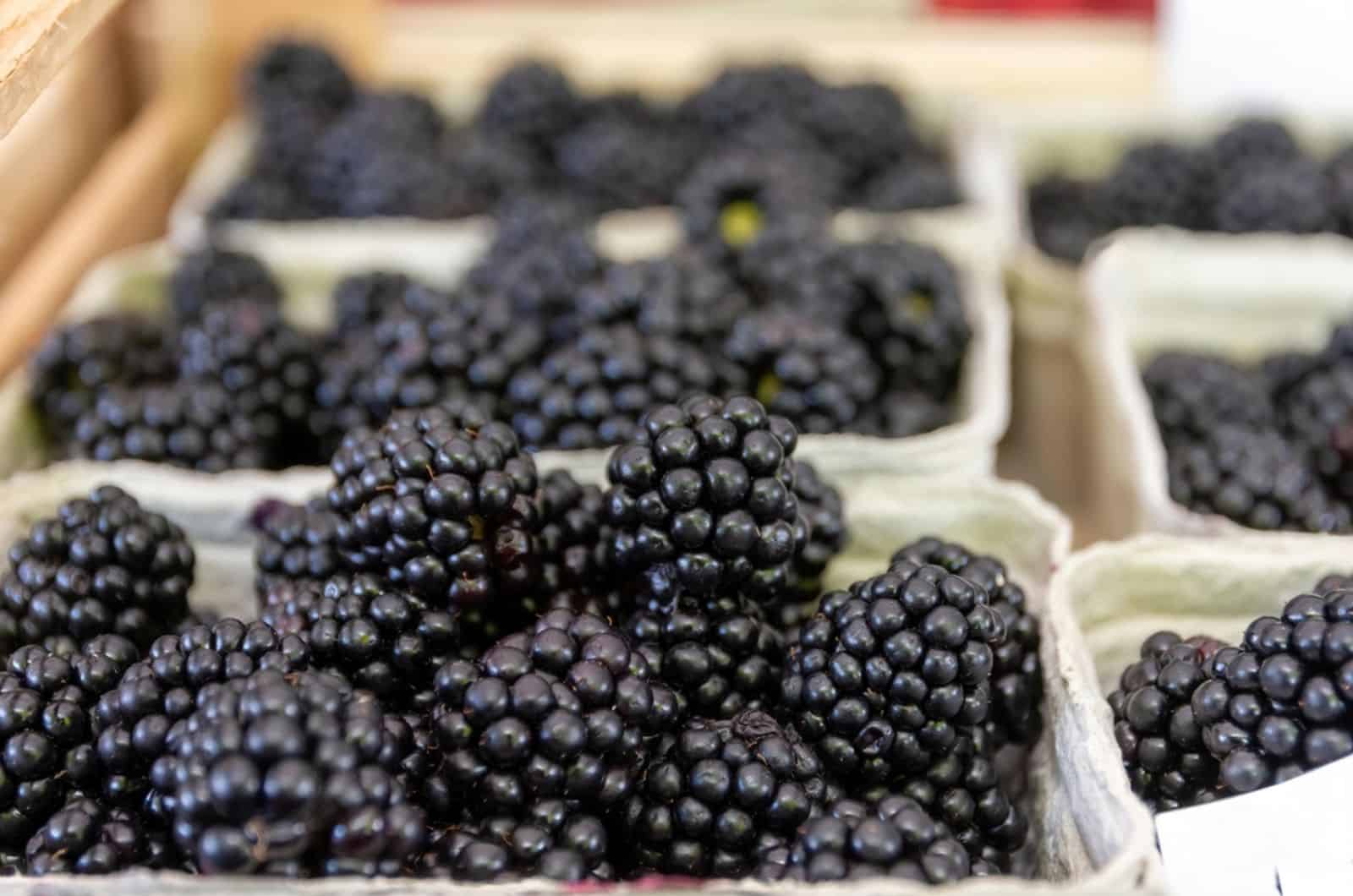 fresh blackberries in bowls 