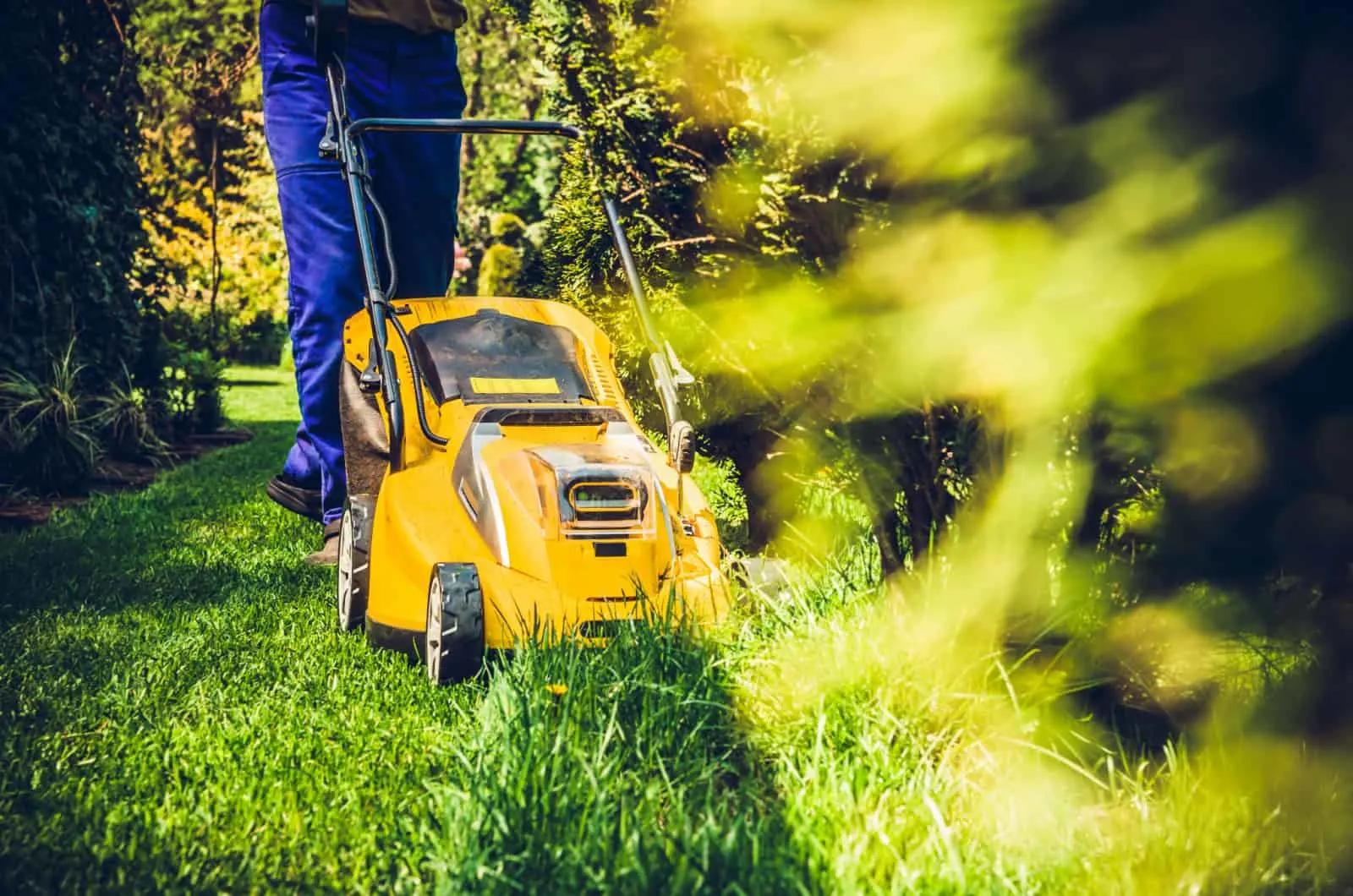 Ok to cut online wet grass