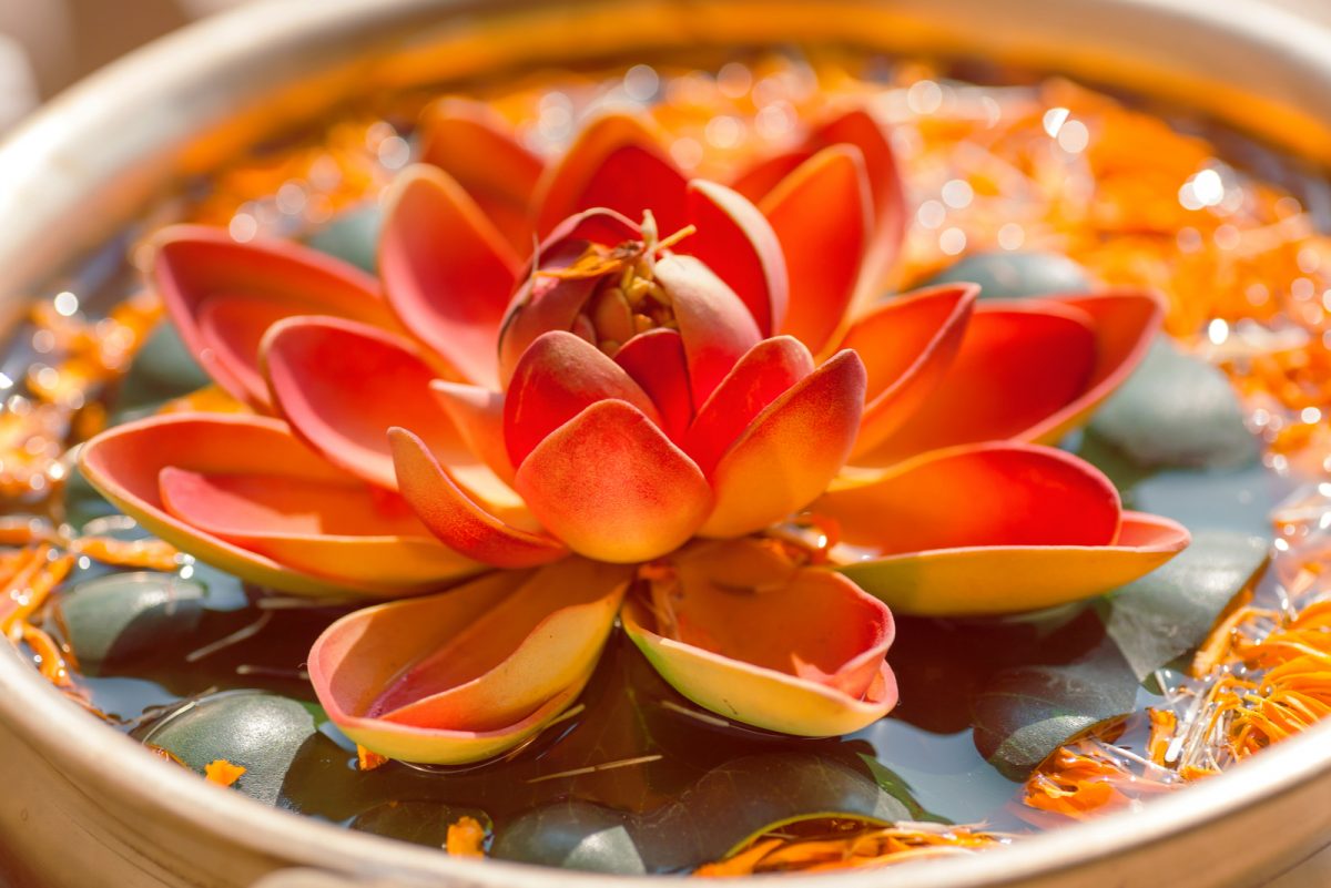 28-breathtaking-chinese-flowers-and-what-they-symbolize